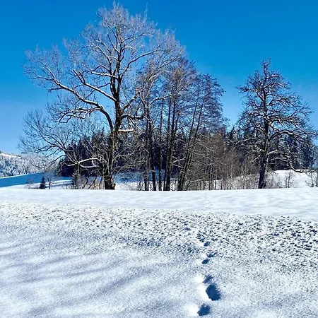 Apartment Ferienwohnung Bio-bauernhof Fam Willam Krumbach (Vorarlberg)